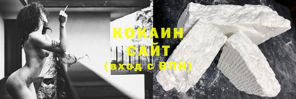 крисы Дмитриев