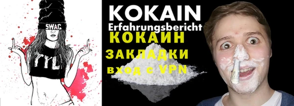крисы Дмитриев