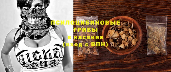 кокс Болотное